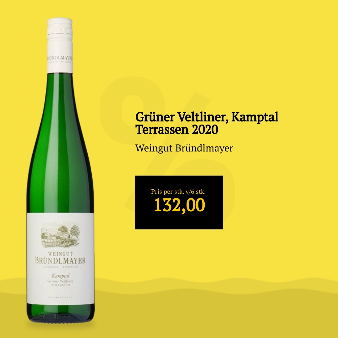 Weingut Bründlmayer Grüner Veltliner, Kamptal Terrassen 2020