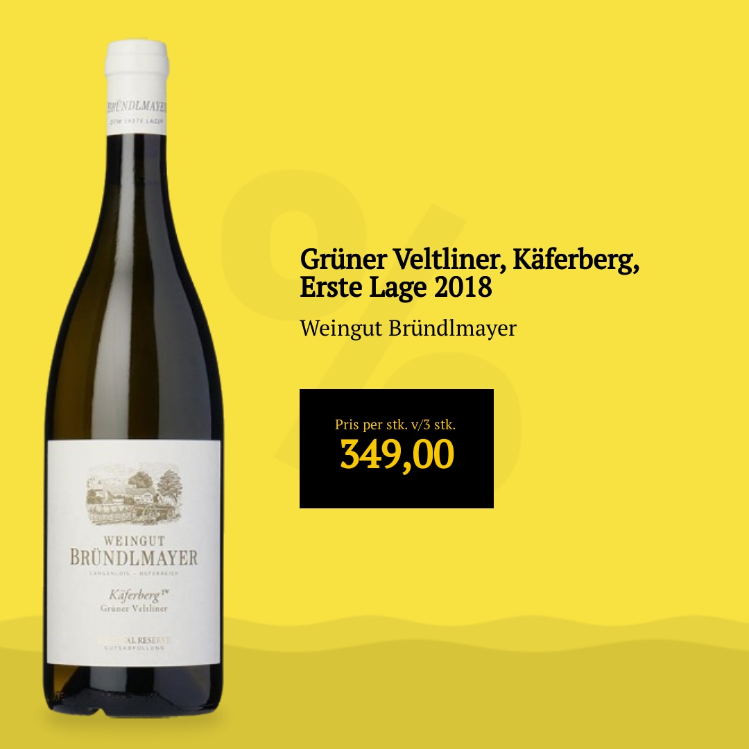 Weingut Bründlmayer Grüner Veltliner, Käferberg, Erste Lage 2018