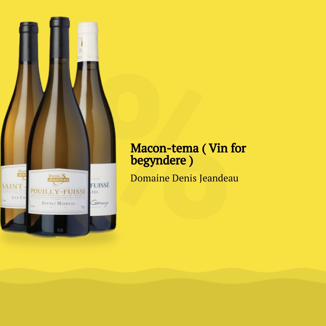 Macon Tema Vin For Begyndere Fra Domaine Denis Jeandeau