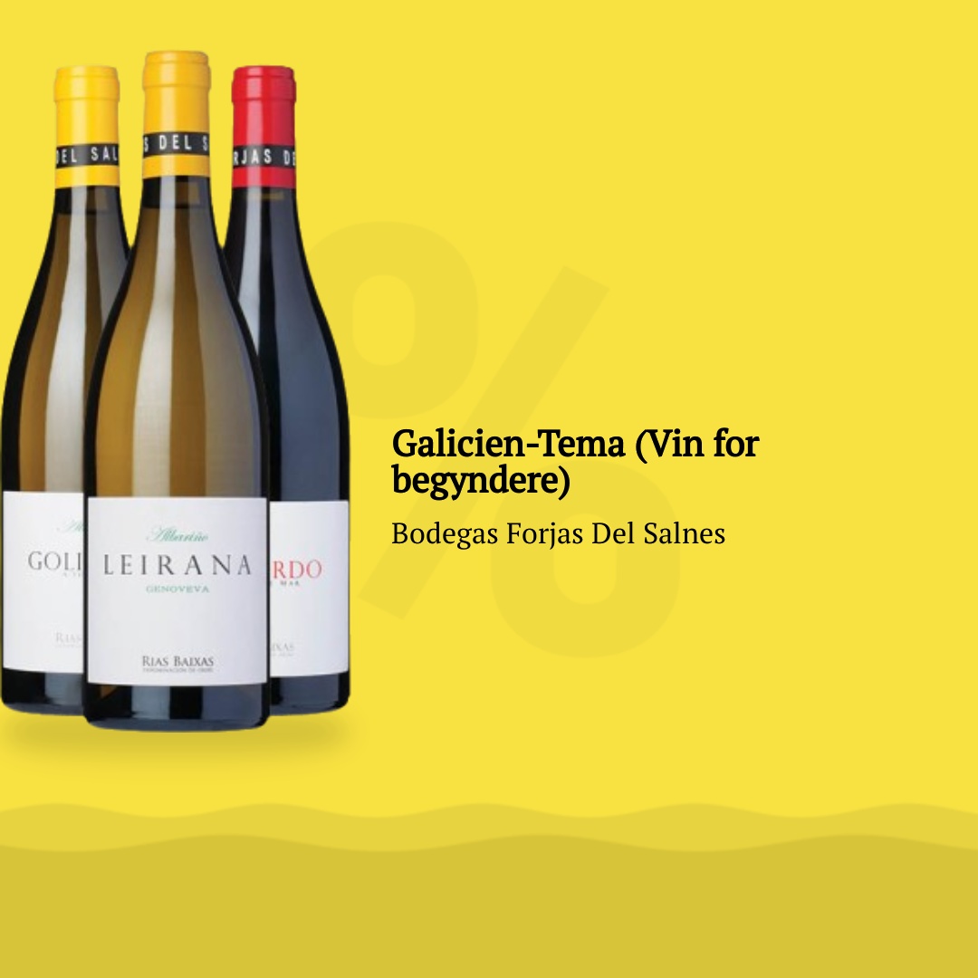 Galicien-Tema (Vin for begyndere)