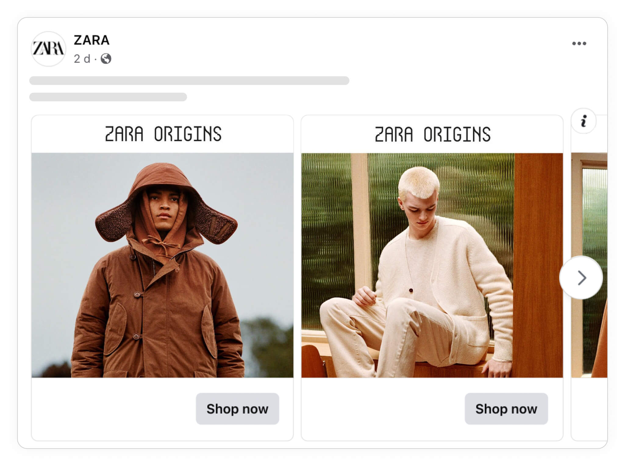 ZARA origins catalog ad example