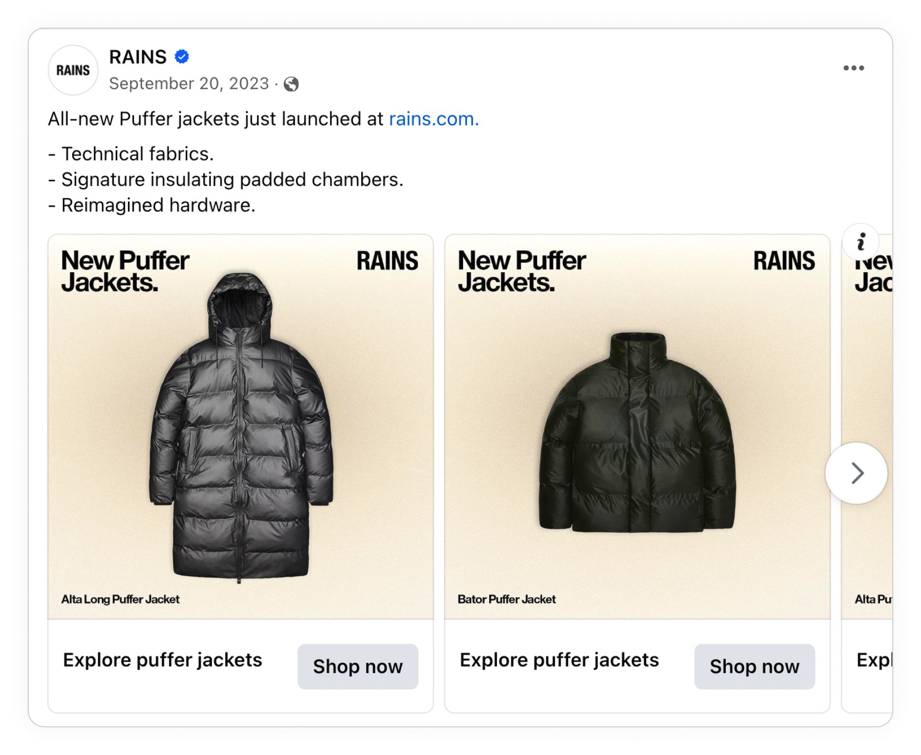 brands and dtc companies catalog ad rains